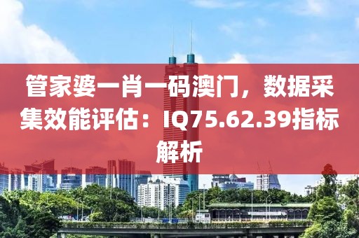 管家婆一肖一码澳门，数据采集效能评估：IQ75.62.39指标解析