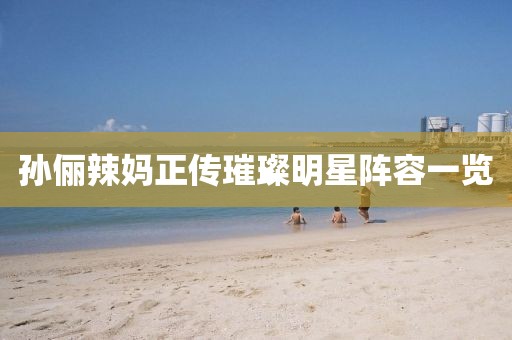 孙俪辣妈正传璀璨明星阵容一览