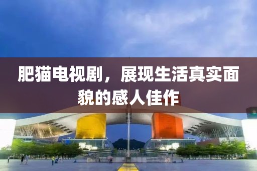 肥猫电视剧，展现生活真实面貌的感人佳作