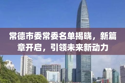 常德市委常委名单揭晓，新篇章开启，引领未来新动力