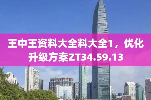 王中王资料大全料大全1，优化升级方案ZT34.59.13