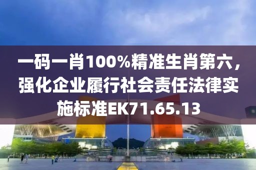 一码一肖100%精准生肖第六，强化企业履行社会责任法律实施标准EK71.65.13