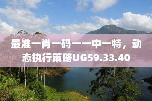 最准一肖一码一一中一特，动态执行策略UG59.33.40