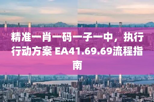 精准一肖一码一子一中，执行行动方案 EA41.69.69流程指南