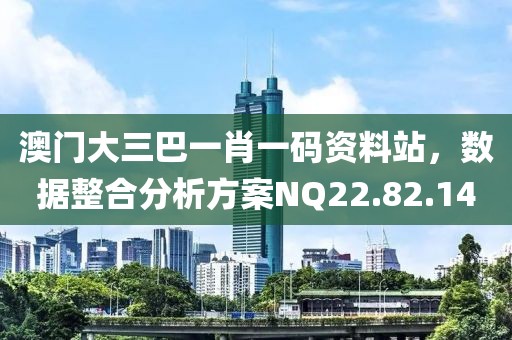 澳门大三巴一肖一码资料站，数据整合分析方案NQ22.82.14