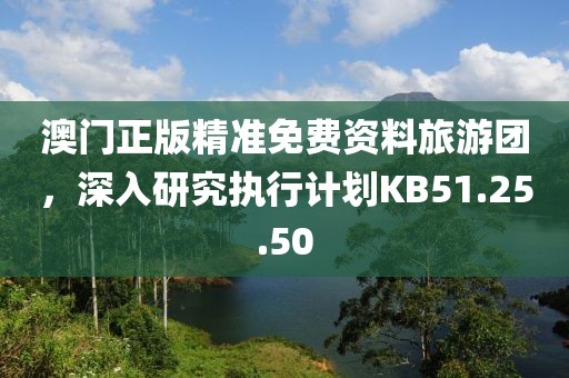 澳门正版精准免费资料旅游团，深入研究执行计划KB51.25.50