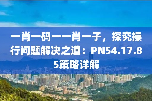 一肖一码一一肖一子，探究操行问题解决之道：PN54.17.85策略详解