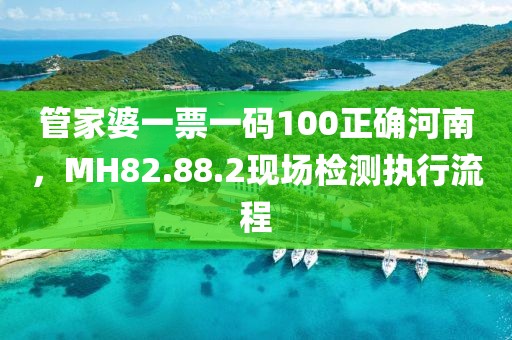 管家婆一票一码100正确河南，MH82.88.2现场检测执行流程