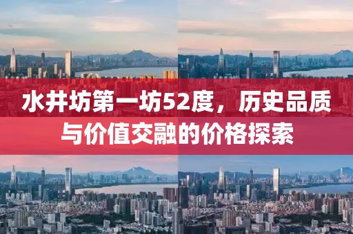 水井坊第一坊52度，历史品质与价值交融的价格探索