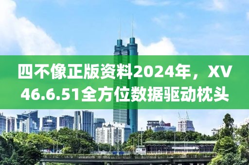 四不像正版资料2024年，XV46.6.51全方位数据驱动枕头