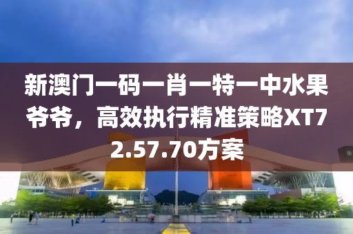 新澳门一码一肖一特一中水果爷爷，高效执行精准策略XT72.57.70方案