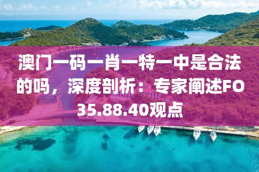 澳门一码一肖一特一中是合法的吗，深度剖析：专家阐述FO35.88.40观点