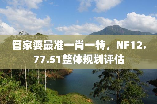 管家婆最准一肖一特，NF12.77.51整体规划评估