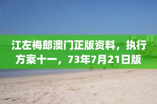 江左梅郎澳门正版资料，执行方案十一，73年7月21日版