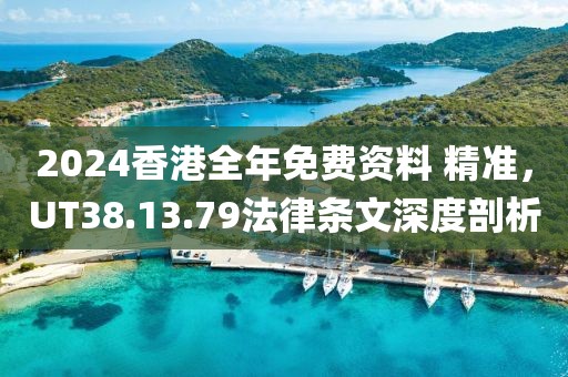 2024香港全年免费资料 精准，UT38.13.79法律条文深度剖析