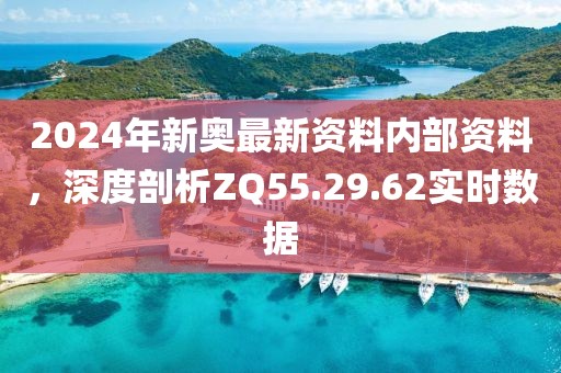 2024年新奥最新资料内部资料，深度剖析ZQ55.29.62实时数据