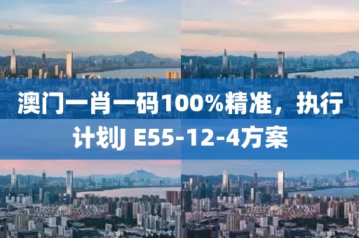 澳门一肖一码100%精准，执行计划J E55-12-4方案