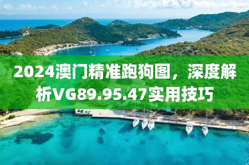 2024澳门精准跑狗图，深度解析VG89.95.47实用技巧