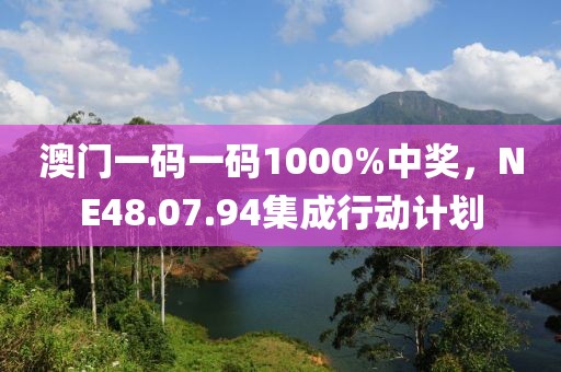 澳门一码一码1000%中奖，NE48.07.94集成行动计划