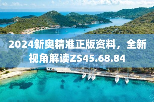 2024新奥精准正版资料，全新视角解读ZS45.68.84
