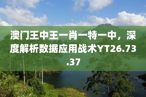 澳门王中王一肖一特一中，深度解析数据应用战术YT26.73.37