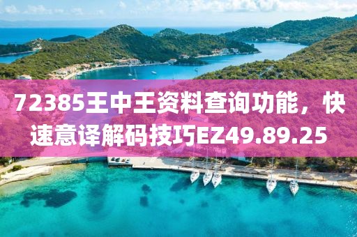 72385王中王资料查询功能，快速意译解码技巧EZ49.89.25