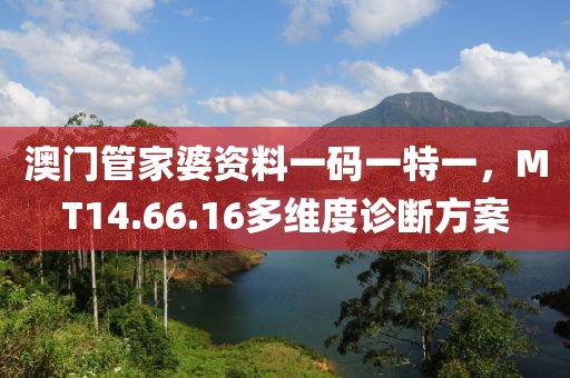 澳门管家婆资料一码一特一，MT14.66.16多维度诊断方案