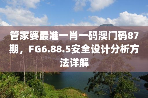 管家婆最准一肖一码澳门码87期，FG6.88.5安全设计分析方法详解