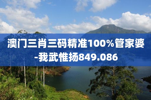 澳门三肖三码精准100%管家婆-我武惟扬849.086