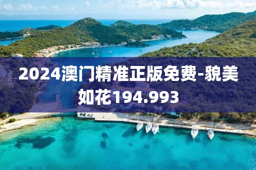 2024澳门精准正版免费-貌美如花194.993