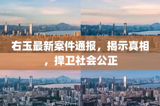 右玉最新案件通报，揭示真相，捍卫社会公正