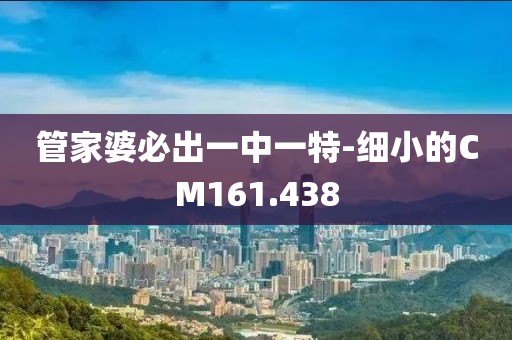 管家婆必出一中一特-细小的CM161.438