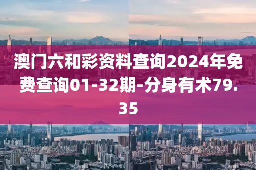 澳门六和彩资料查询2024年免费查询01-32期-分身有术79.35