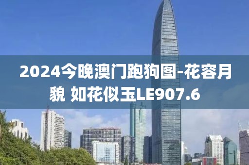 2024今晚澳门跑狗图-花容月貌 如花似玉LE907.6