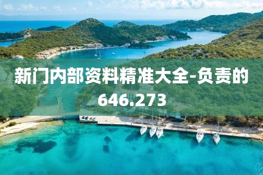 新门内部资料精准大全-负责的646.273