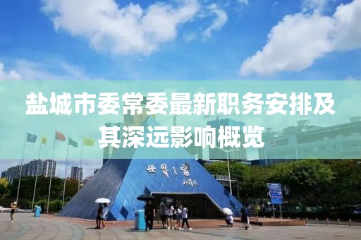 盐城市委常委最新职务安排及其深远影响概览
