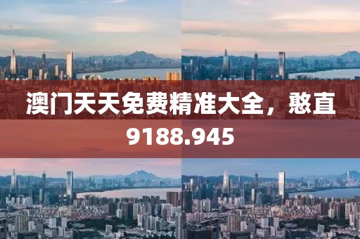 澳门天天免费精准大全，憨直9188.945