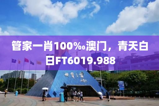 管家一肖100‰澳门，青天白日FT6019.988