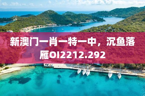 新澳门一肖一特一中，沉鱼落雁OI2212.292