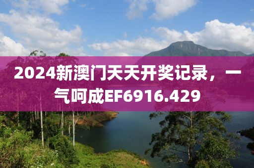 2024新澳门天天开奖记录，一气呵成EF6916.429