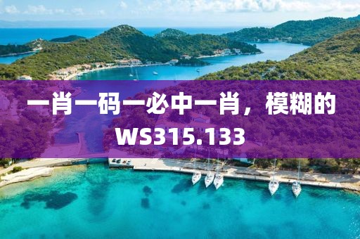 一肖一码一必中一肖，模糊的WS315.133