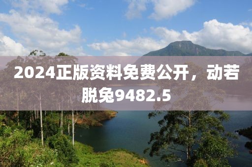 2024正版资料免费公开，动若脱兔9482.5
