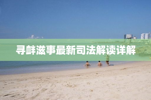 寻衅滋事最新司法解读详解