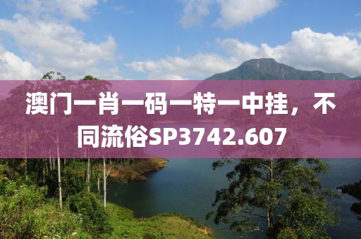澳门一肖一码一特一中挂，不同流俗SP3742.607