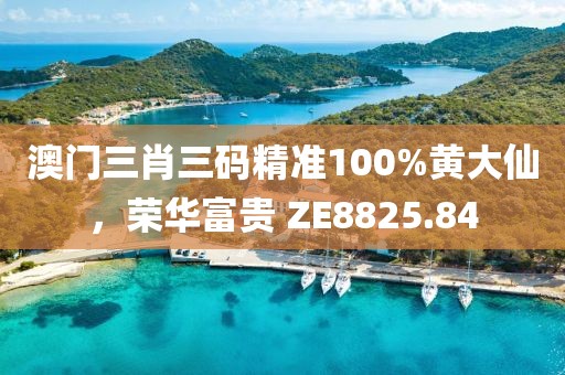 澳门三肖三码精准100%黄大仙，荣华富贵 ZE8825.84