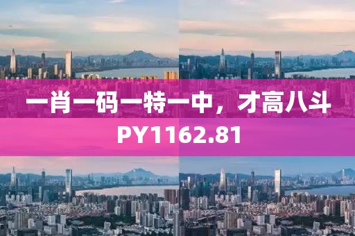 一肖一码一特一中，才高八斗PY1162.81