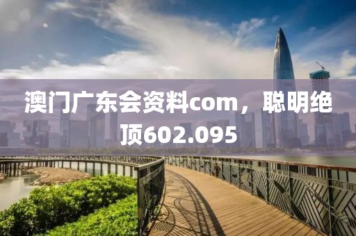 澳门广东会资料com，聪明绝顶602.095