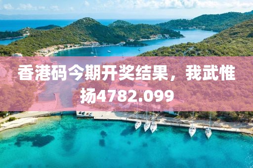 香港码今期开奖结果，我武惟扬4782.099