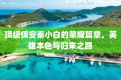 顶级保安秦小白的荣耀篇章，英雄本色与归来之路