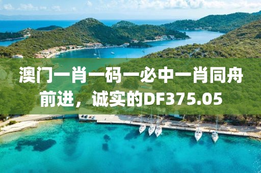 澳门一肖一码一必中一肖同舟前进，诚实的DF375.05